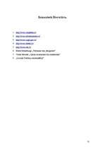 Referāts 'Zibens', 13.