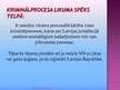 Prezentācija 'Kriminālprocesa jēdziens. Kriminālprocesa likums', 20.