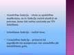 Prezentācija 'Kriminālprocesa jēdziens. Kriminālprocesa likums', 27.