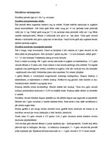 Referāts 'Bērna attīstības sakarības no gada vecuma līdz skolas gadiem', 2.