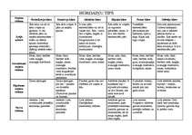 Konspekts 'Hordaiņu tips', 1.