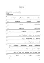 Referāts 'Stratēģijas izvēle un realizēšana uzņēmumā', 3.