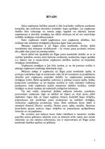 Referāts 'Stratēģijas izvēle un realizēšana uzņēmumā', 5.