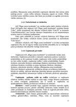 Referāts 'Stratēģijas izvēle un realizēšana uzņēmumā', 15.