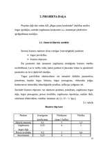 Referāts 'Stratēģijas izvēle un realizēšana uzņēmumā', 25.