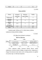 Referāts 'Stratēģijas izvēle un realizēšana uzņēmumā', 26.