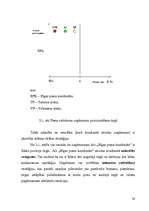 Referāts 'Stratēģijas izvēle un realizēšana uzņēmumā', 28.