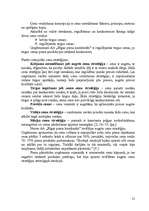 Referāts 'Stratēģijas izvēle un realizēšana uzņēmumā', 31.