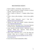 Referāts 'Stratēģijas izvēle un realizēšana uzņēmumā', 33.