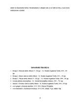 Referāts 'Buržuāziskās valstis un tiesības ', 18.