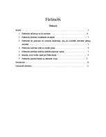 Referāts 'Flešmobi', 1.