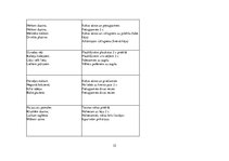 Prakses atskaite 'Audzināšanas un vērojuma prakse pirmsskolā', 35.