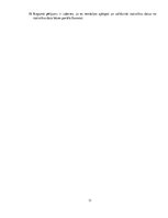 Referāts 'Studiju darbs informācijas pārvaldībā', 11.