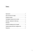 Biznesa plāns 'Biznesa plāns: SMS reklāma', 2.