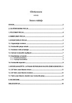 Referāts 'Cilvēkresurss', 1.