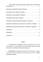 Referāts 'Sintaktiskās konstrukcijas E.Virzas poēmā "Straumēni"', 6.