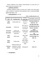 Referāts 'Sintaktiskās konstrukcijas E.Virzas poēmā "Straumēni"', 13.