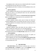 Referāts 'Sintaktiskās konstrukcijas E.Virzas poēmā "Straumēni"', 14.