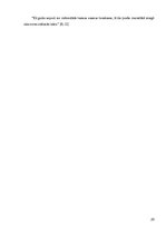 Referāts 'Sintaktiskās konstrukcijas E.Virzas poēmā "Straumēni"', 25.