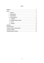 Referāts 'Laimes un tikuma jēdzieni Aristoteļa filozofijā', 4.