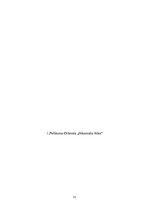 Referāts 'Laimes un tikuma jēdzieni Aristoteļa filozofijā', 21.