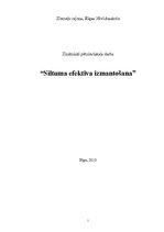 Referāts 'Siltuma efektīva izmantošana', 1.