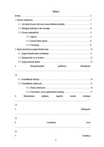 Referāts 'Siltuma efektīva izmantošana', 2.