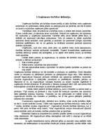 Referāts 'Uzņēmuma vides analīze', 4.