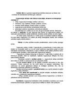 Referāts 'Uzņēmuma vides analīze', 13.