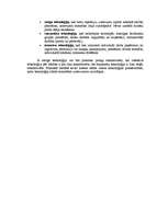 Referāts 'Uzņēmuma vides analīze', 17.