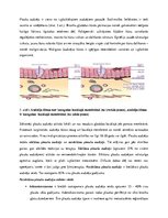 Referāts 'Saslimstība ar ļaundabīgajiem audzējiem', 12.