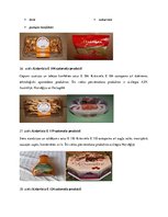 Referāts 'Saslimstība ar ļaundabīgajiem audzējiem', 26.