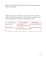 Referāts 'Saslimstība ar ļaundabīgajiem audzējiem', 29.