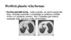 Prezentācija 'Perifērs plaušu vēzis', 12.