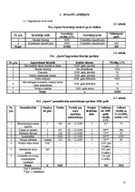 Biznesa plāns 'SIA "Sports"', 16.