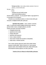 Konspekts 'Plānošana', 2.