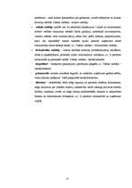 Biznesa plāns 'SIA "Siera pasaule"', 5.