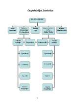 Biznesa plāns 'SIA "Siera pasaule"', 6.