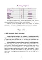 Biznesa plāns 'SIA "Siera pasaule"', 7.