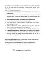 Biznesa plāns 'SIA "Siera pasaule"', 10.