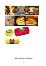 Biznesa plāns 'SIA "Siera pasaule"', 11.