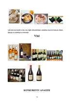 Biznesa plāns 'SIA "Siera pasaule"', 13.