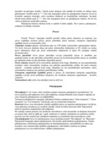 Konspekts 'Valsts maksājuma bilance', 2.