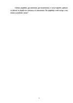 Prakses atskaite 'Prakses pārskats SIA "XXX"', 11.