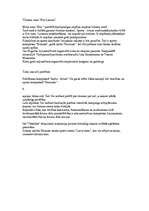 Konspekts 'Ceļojums uz Somiju', 5.