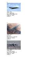 Referāts 'Pārvietošanās pa gaisu', 8.