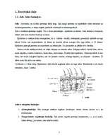 Referāts 'Skaistumkopšana un ķermeņa veselība', 7.