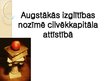 Prezentācija 'Augstākās izglītības nozīmē cilvēkkapitāla attīstībā', 1.