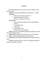 Referāts 'Cilvēka izvēli ietekmējošie faktori', 2.