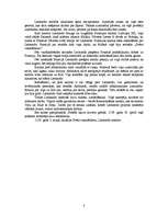 Referāts 'Leonardo da Vinči. Dzīve un slavenākie darbi', 8.